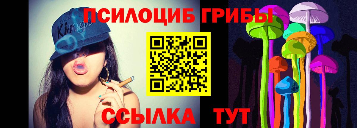 Нижний Новгород  Галлюциногенные грибы Cubensis  Вход с VPN 